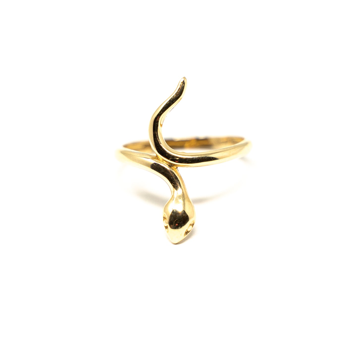RING SPECIAL DESIGN-R072514006