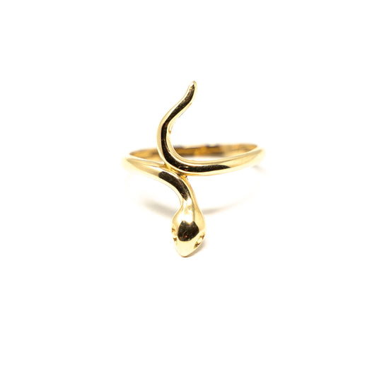 RING SPECIAL DESIGN-R072514006