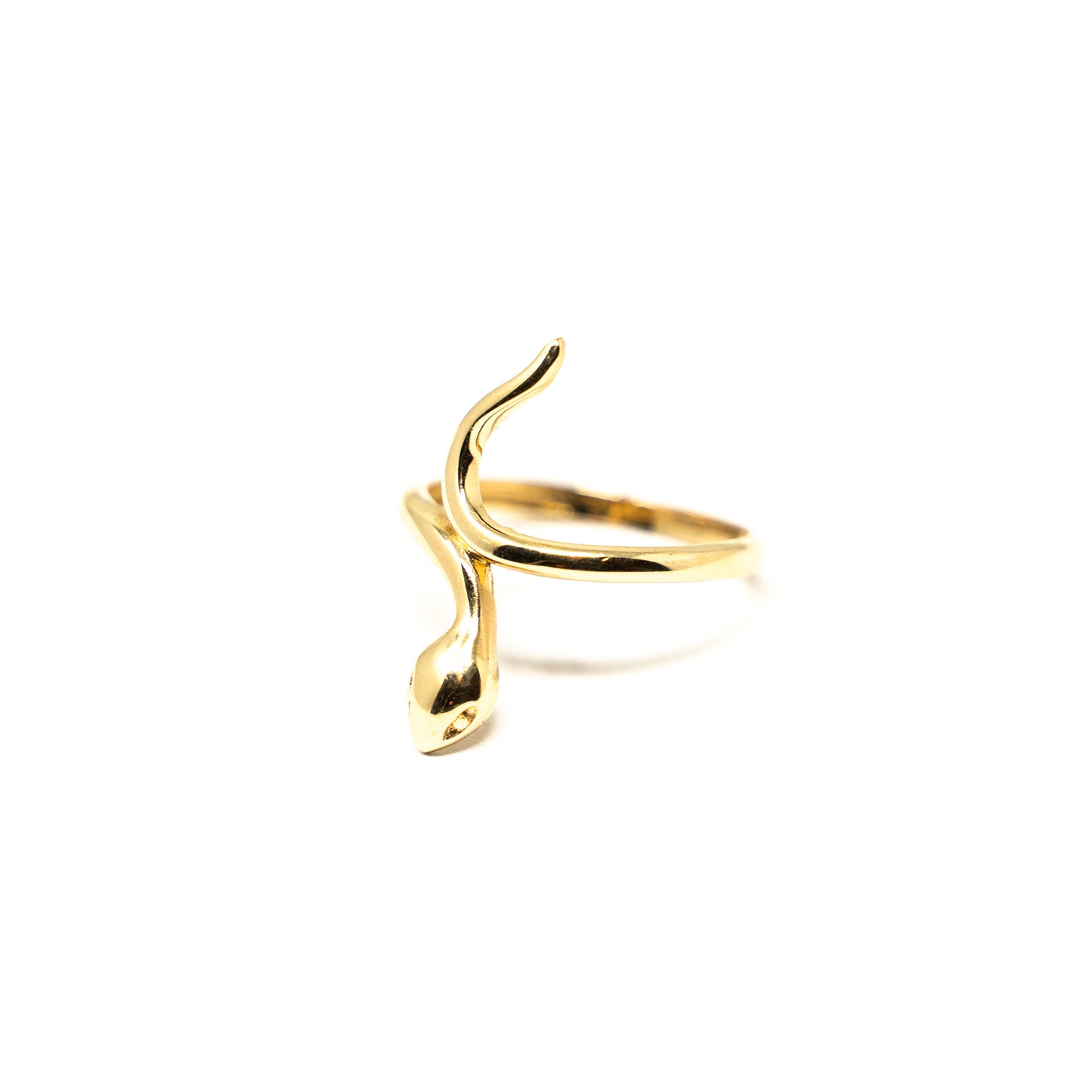 RING SPECIAL DESIGN-R072514006