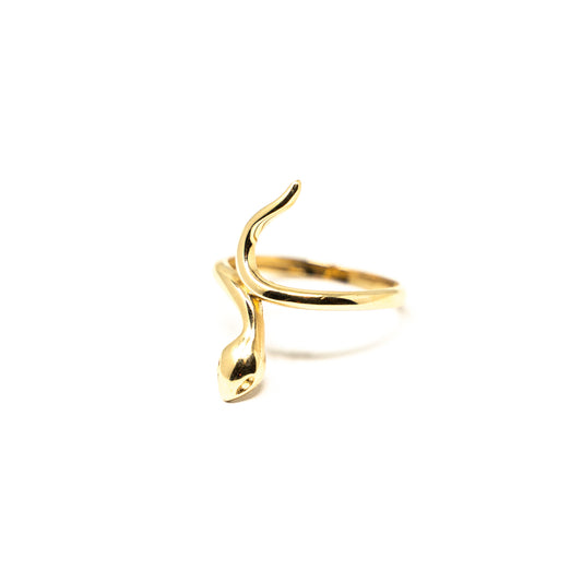 RING SPECIAL DESIGN-R072514006