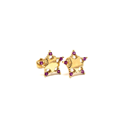 EARRINGS FUCHSIA STAR-E072514010